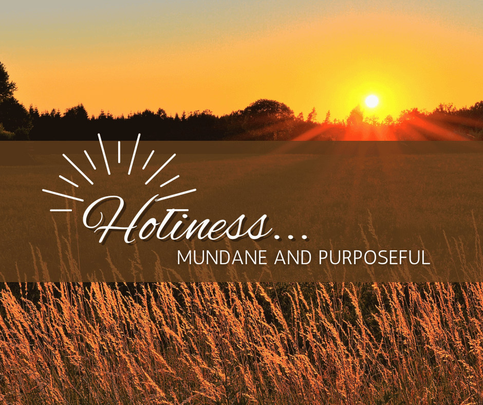 Living a holy life is mundane and purposeful
